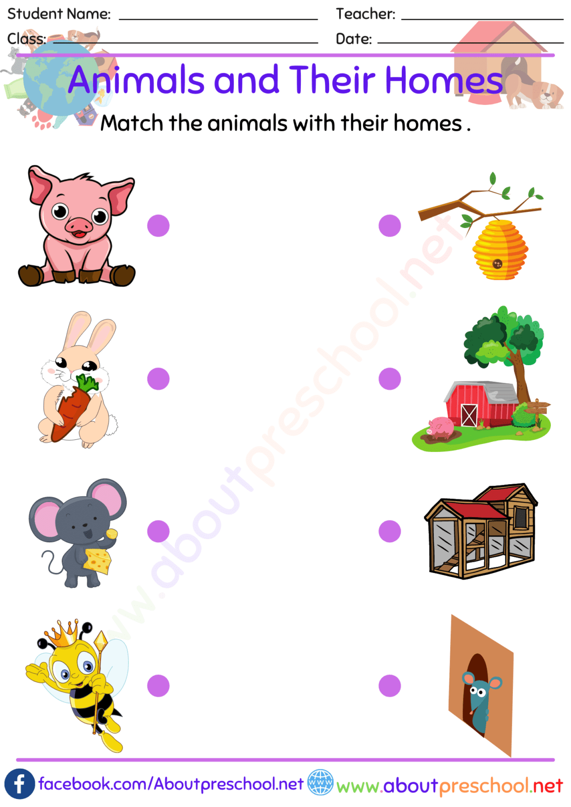 Animals and Their Homes Matching 3