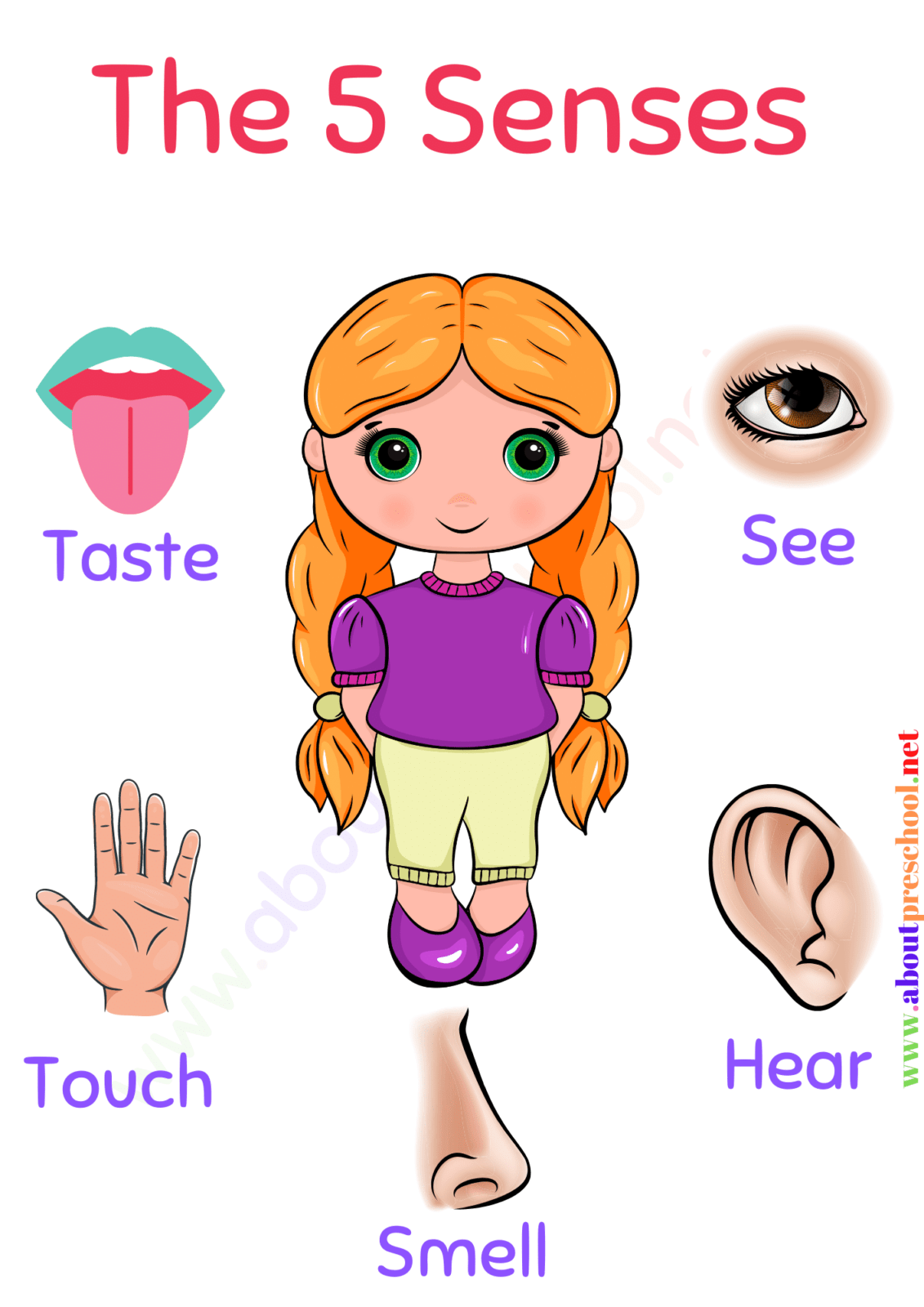 Kindergarten 5 Senses Worksheets-2