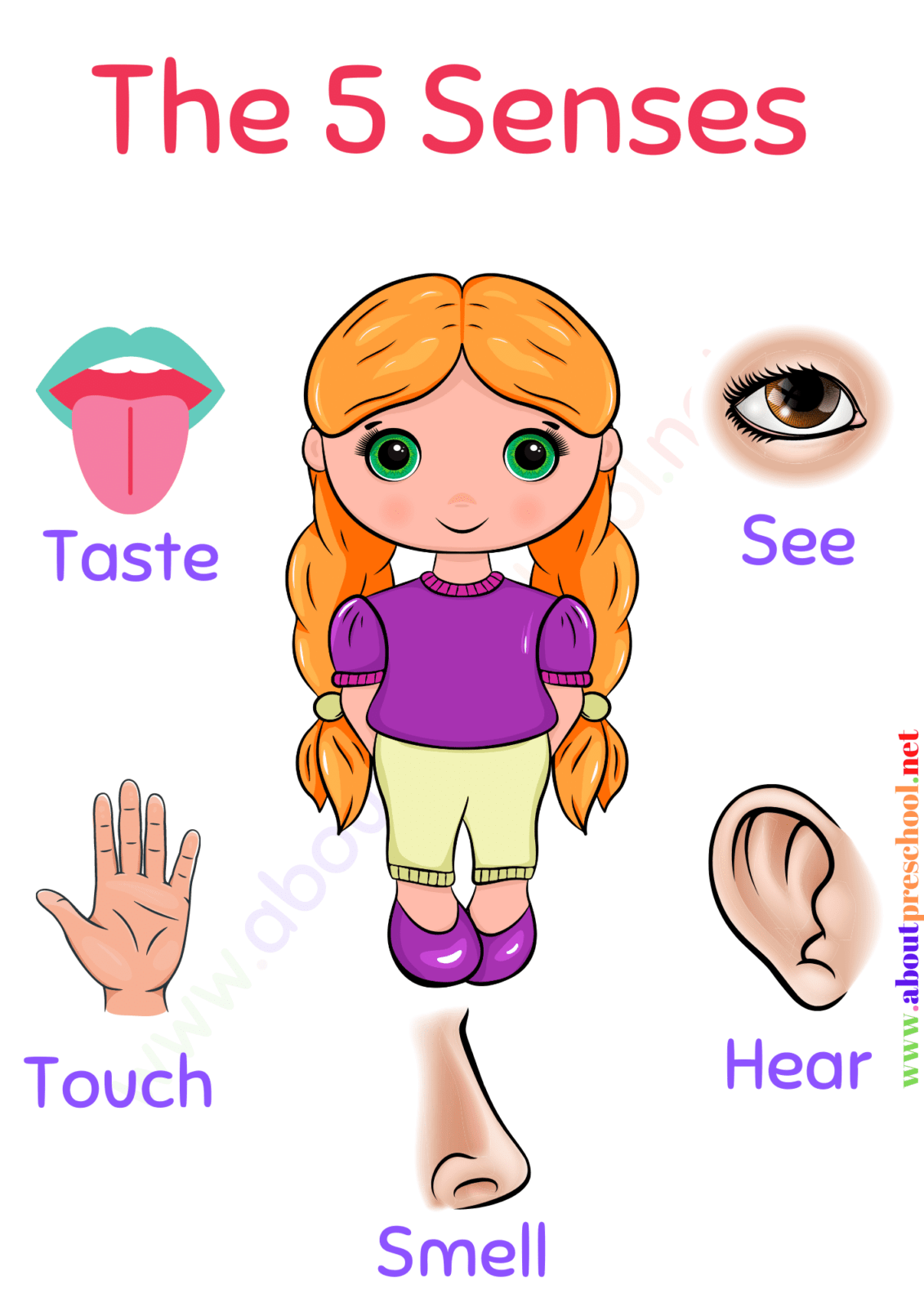 Kindergarten 5 Senses Worksheets 2 About Preschool