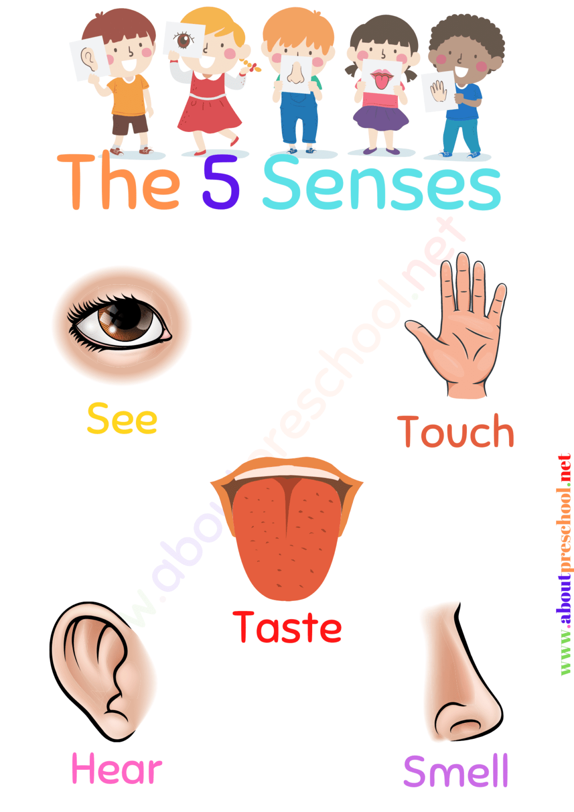 Printable Chart For The Five Sensenses