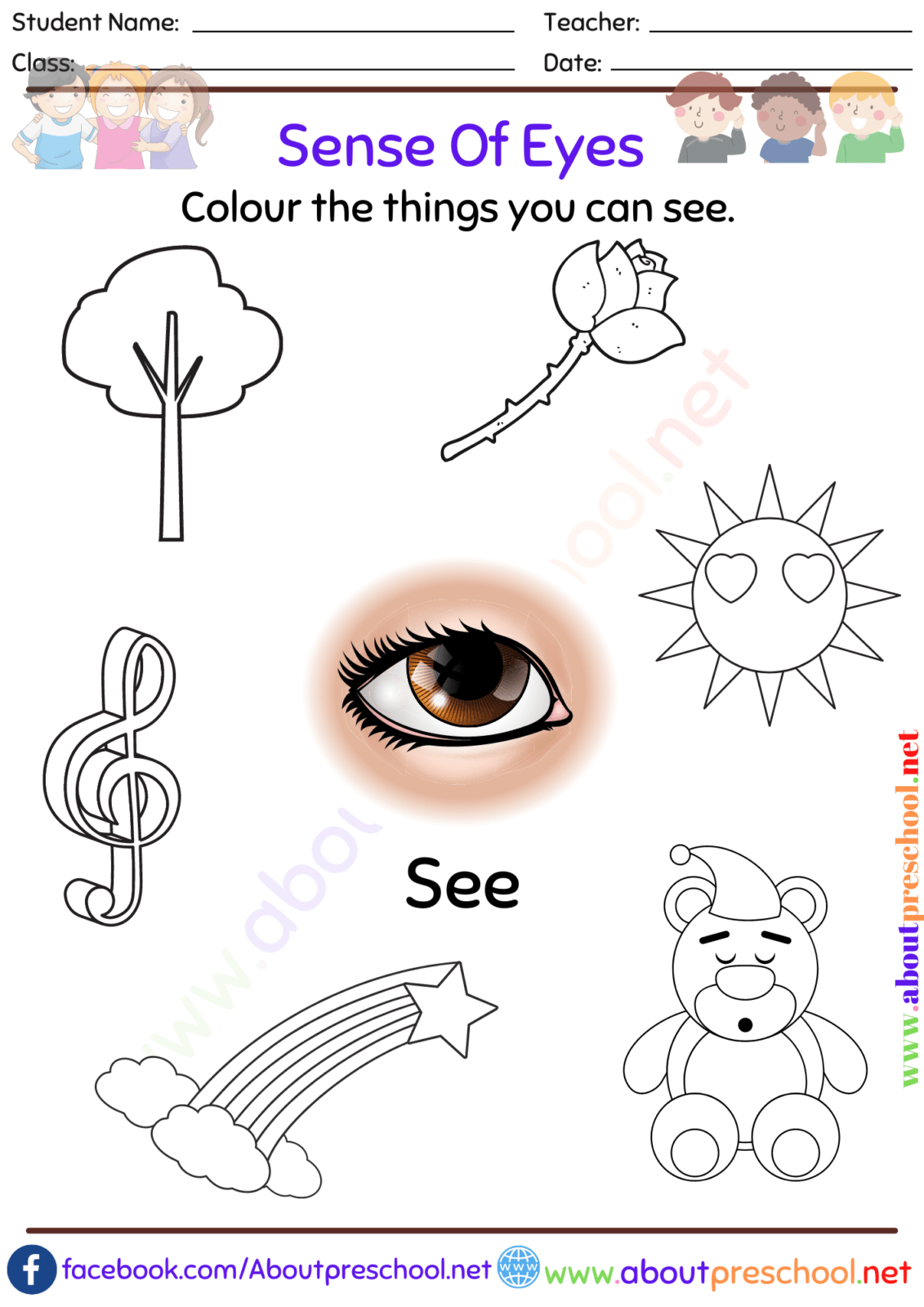 What Are The 5 Senses-See