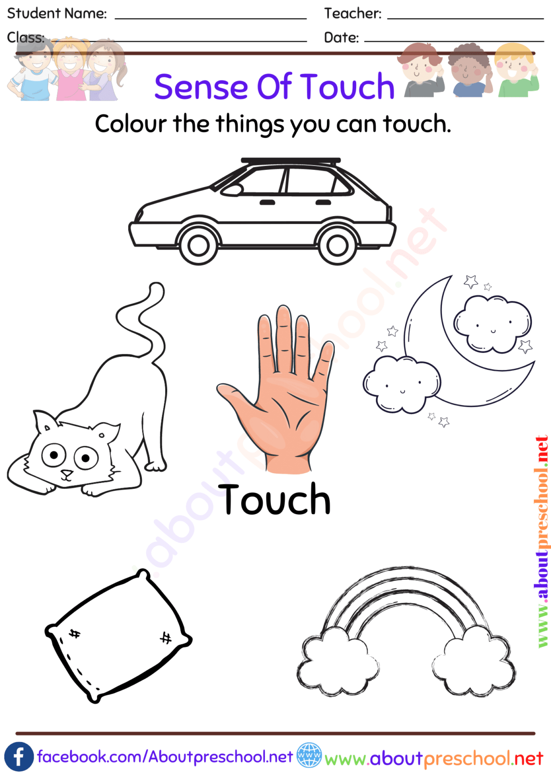 What Are The 5 Senses-Touch